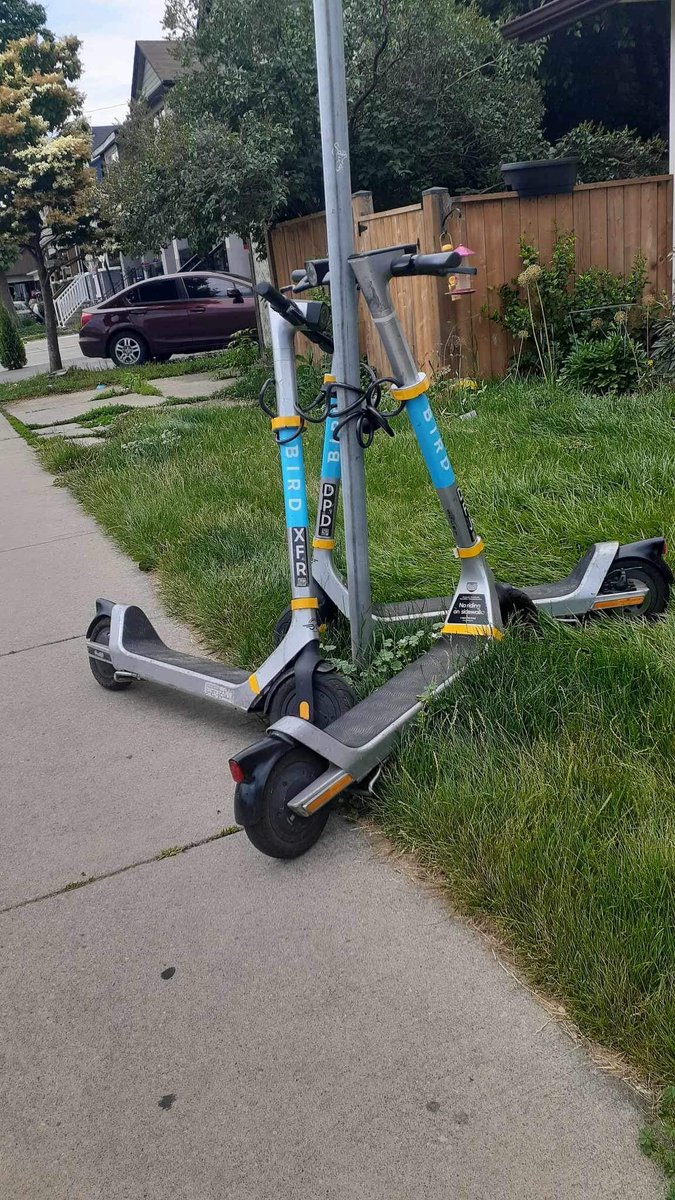 Chefmitchferron's tweet photo. @BirdRideCanada can you send someone to get these off my lawn ?🤷🏼
Dm me for the address https://t.co/2MtjsMC8ih