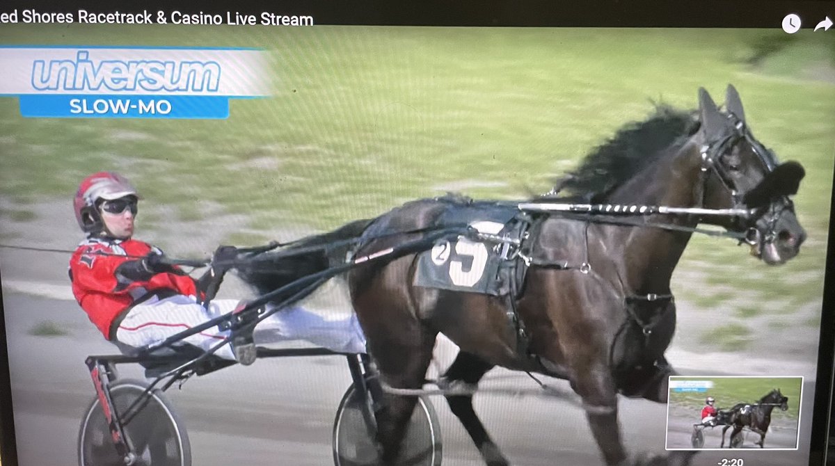 gocashking's tweet photo. The Maritime Machine MALIGNITY was my Best Bet for a reason. He absolutely crushes in the Maritime Breeders @Red_Shores and the 5 extra points for the BB helps me increase my lead in the #HarnessHandicappingChallenge
#PlayCharlottetown https://t.co/uIdb0R1kZ0