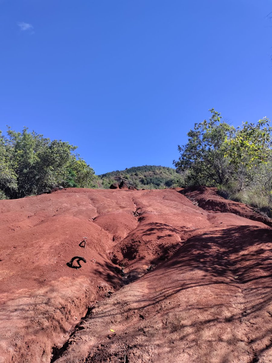 Amazing time @ Waimea Canyon yesterday!!  We hiked down to the bottom and back out.