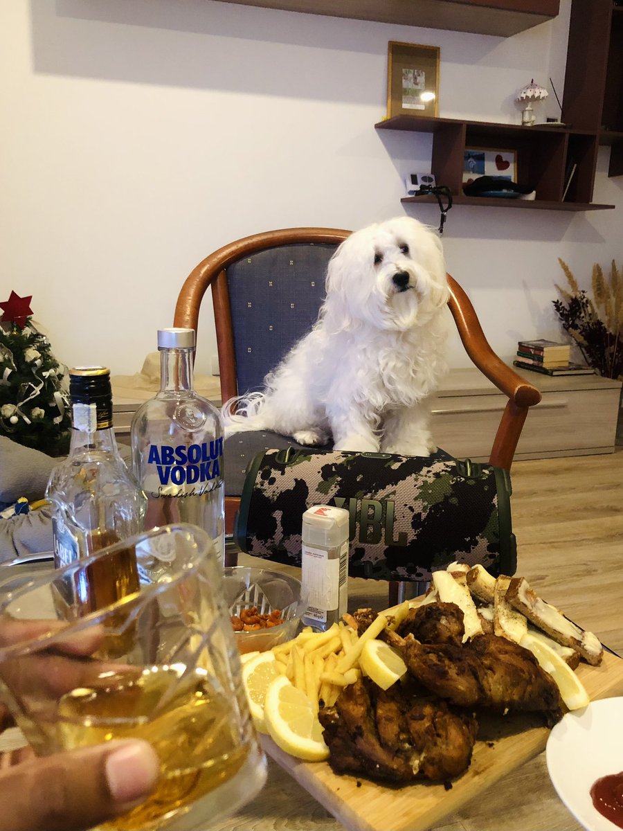 Gunzmore's tweet photo. Weekendz vibes chilling ! Juzz vibin’ with my partner 😀 🥂 #fluffy #vibesneverlie https://t.co/VYIJjE3zaM