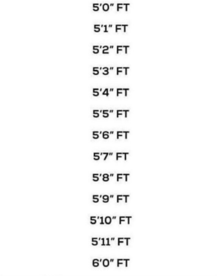 Husky🐺 tweet media