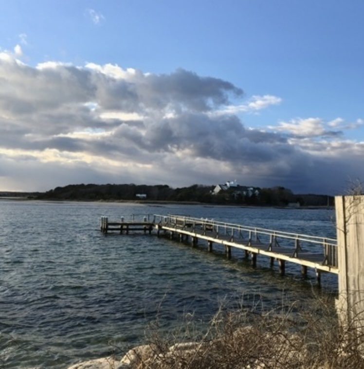 “In the midst of winter, I found there was,
within me, an invincible summer.”
~ Albert Camus
#CapeCod