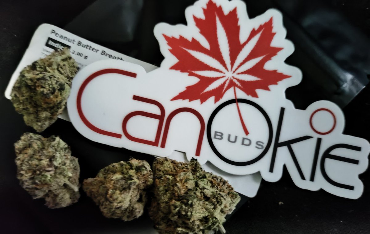 Z0M8I3D's tweet photo. About to review these two Oklahoma Marijuana brands #HyDemand &
#CanOkieBUDS.
I just spoke with members of each of their teams at #WarewolfFarms (38th st Lawton, #Oklahoma) today for a patient pull event with local vendors.
#OKMM #MEDICALmarijuana #Marijuana https://t.co/fbyL28AAs5
