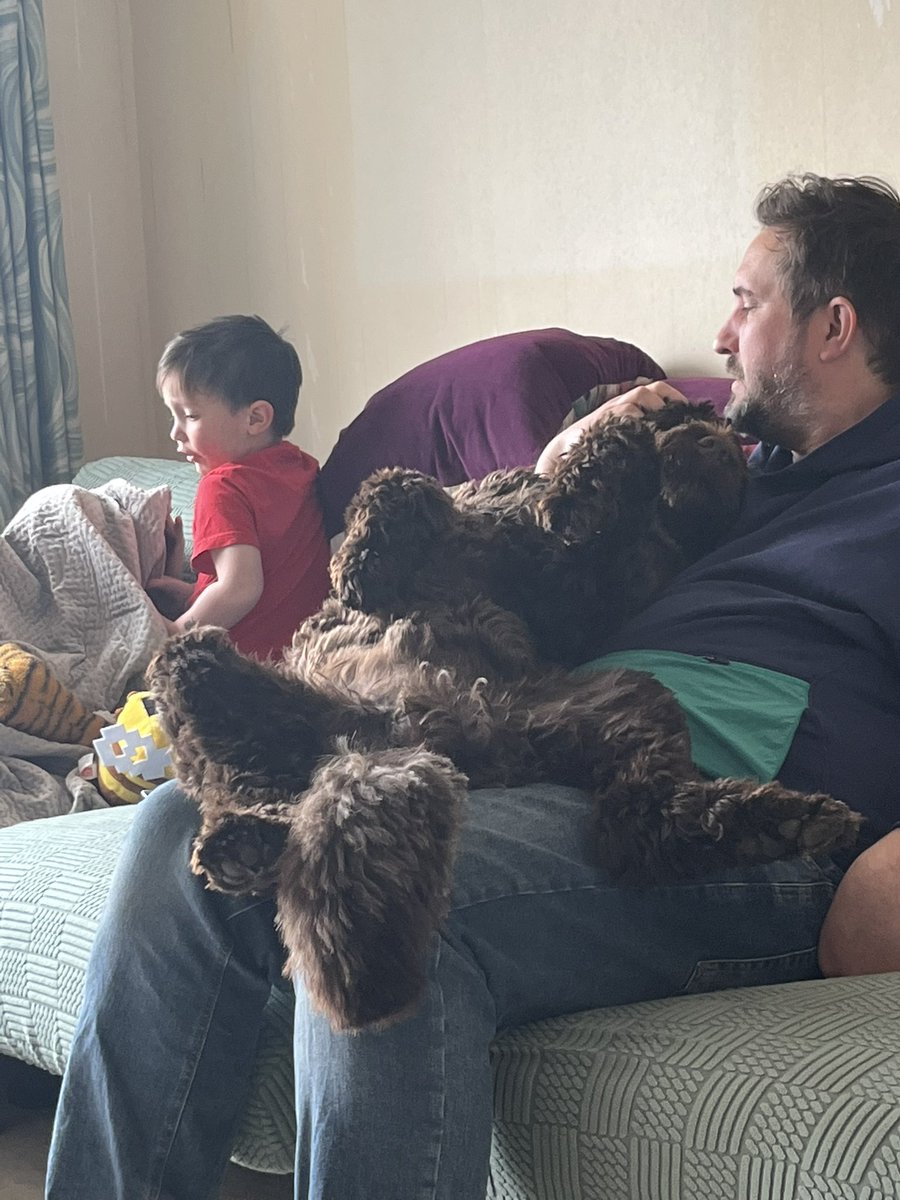 GGSMITH1979's tweet photo. @peter_faulding We know that well!! @smith_mikej #portuguesewaterdog https://t.co/xHBSfrKDGt