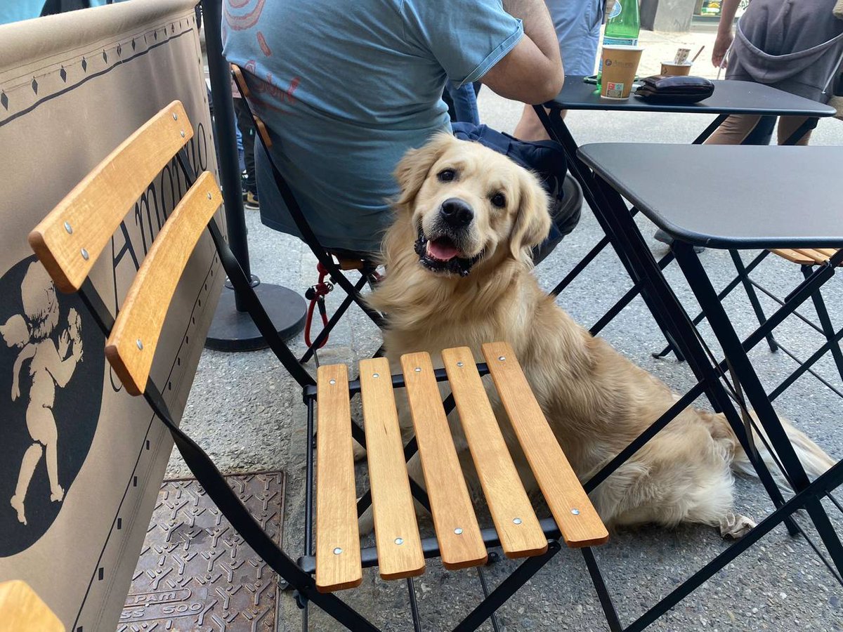 Cool10057012's tweet photo. Seeing a cute dog can heal everything 🐶🐶 https://t.co/JylxmEdz4W