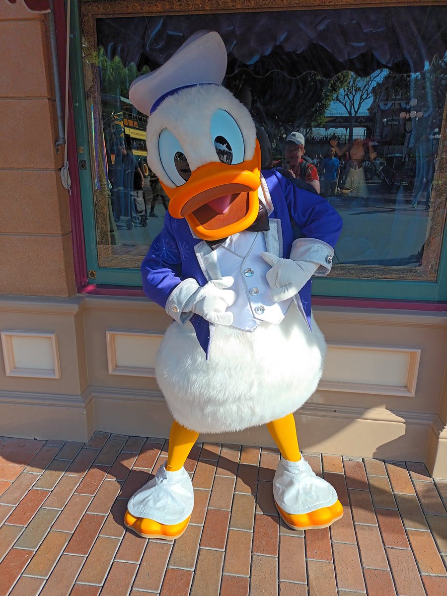 The #1 Duck. Dapper now and always .

#Disneyland #DonaldDuck #DisneyCharacters