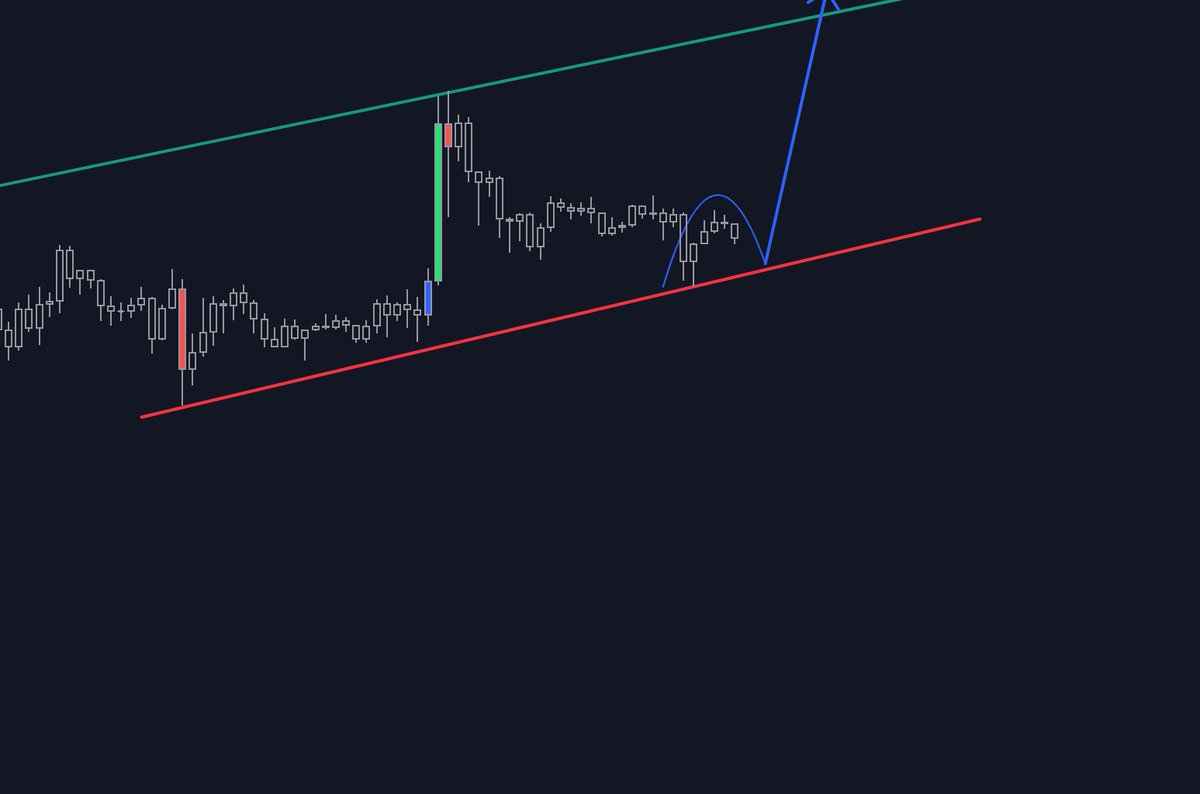 The Don CeSar tweet media