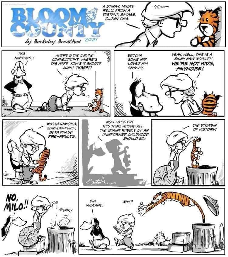 Don't mess with Hobbes. #bloomcounty and #CalvinandHobbes