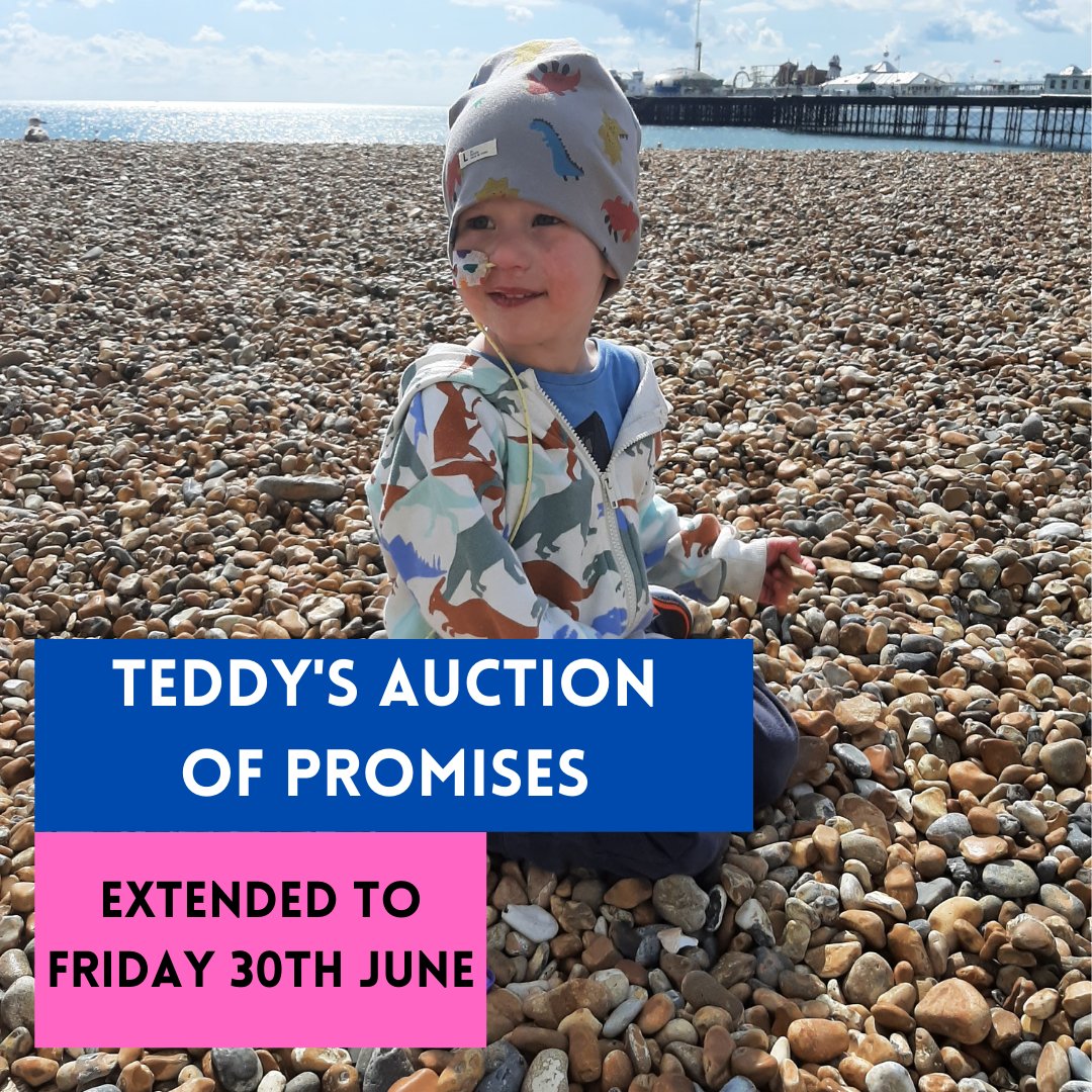 TeddyAndTheBigC's tweet photo. Teddy's auction of promises has been extended until Friday 30th June, so there is still time to get your hands on some of the amazing lots!

From holiday homes in the UK and abroad, to signed @OfficialBHAFC shirts, meals out, fun experiences and more - https://t.co/DDif8HoOBz https://t.co/MZ7q3uGtZf