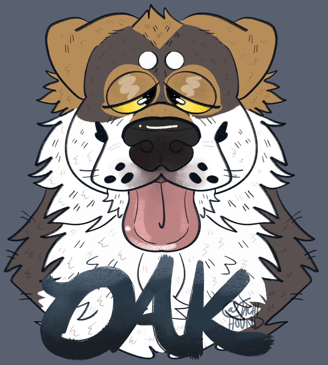 Carrington ( ᴥ Ʋ) Boyd on Twitter "So I’m going to Furrydelphia for a