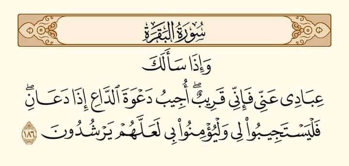 اللهُم دُعائي الذي لا يعلمُه سُواك وصوتي الذي لا يسمعُه غيرك اللهُم آمين لكل مافي قلبي🥺🤲🏻
