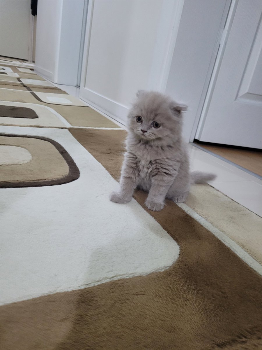 yakışıklı ve farkında değil 😍