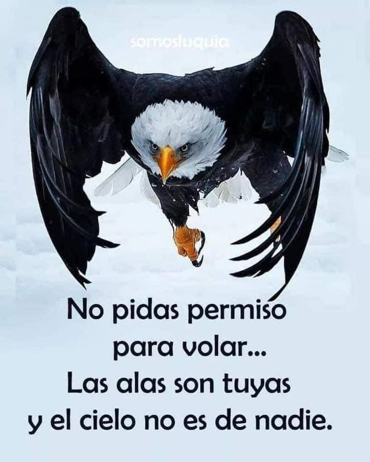 #VictoriaAntiimperialista
¡Somos herederos de la victoria de la Batalla de Carabobo!

<a href="/chande5035/">chande</a>
<a href="/molinarj1984/">Reynaldo</a>
<a href="/bellabella_91/">Bella_91</a>
<a href="/Alvarex2808/">Alvarex</a>
<a href="/Nelsontrejo92/">Nelson Trejo</a>
<a href="/SoyYolit2/">Yolimar</a>
<a href="/TEmma54/">T-Emma54</a>
<a href="/IralisailC/">Iralisail. Carballo</a>
<a href="/ApureHumana/">GESTION HUMANA INIA APURE</a>
<a href="/BonitaGo5/">Prichard Colon</a>
<a href="/kristof8419/">kristofer</a> <a href="/RazziLuis/">Robert Mora</a>
<a href="/jesus372333/">mildre</a> <a href="/Limpio30518009/">@Limpio</a>
No pidas permiso