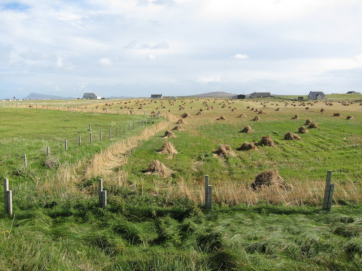 realfarming's tweet photo. We've got another exciting job role to share this week - in partnership with @jrf_uk we're hiring a Project Manager for the Progressive Landowners Platform. 

🗓️Apply by 14 July! 

Find out more:
https://t.co/RHJE4wp8q7 https://t.co/qen0YVfchl
