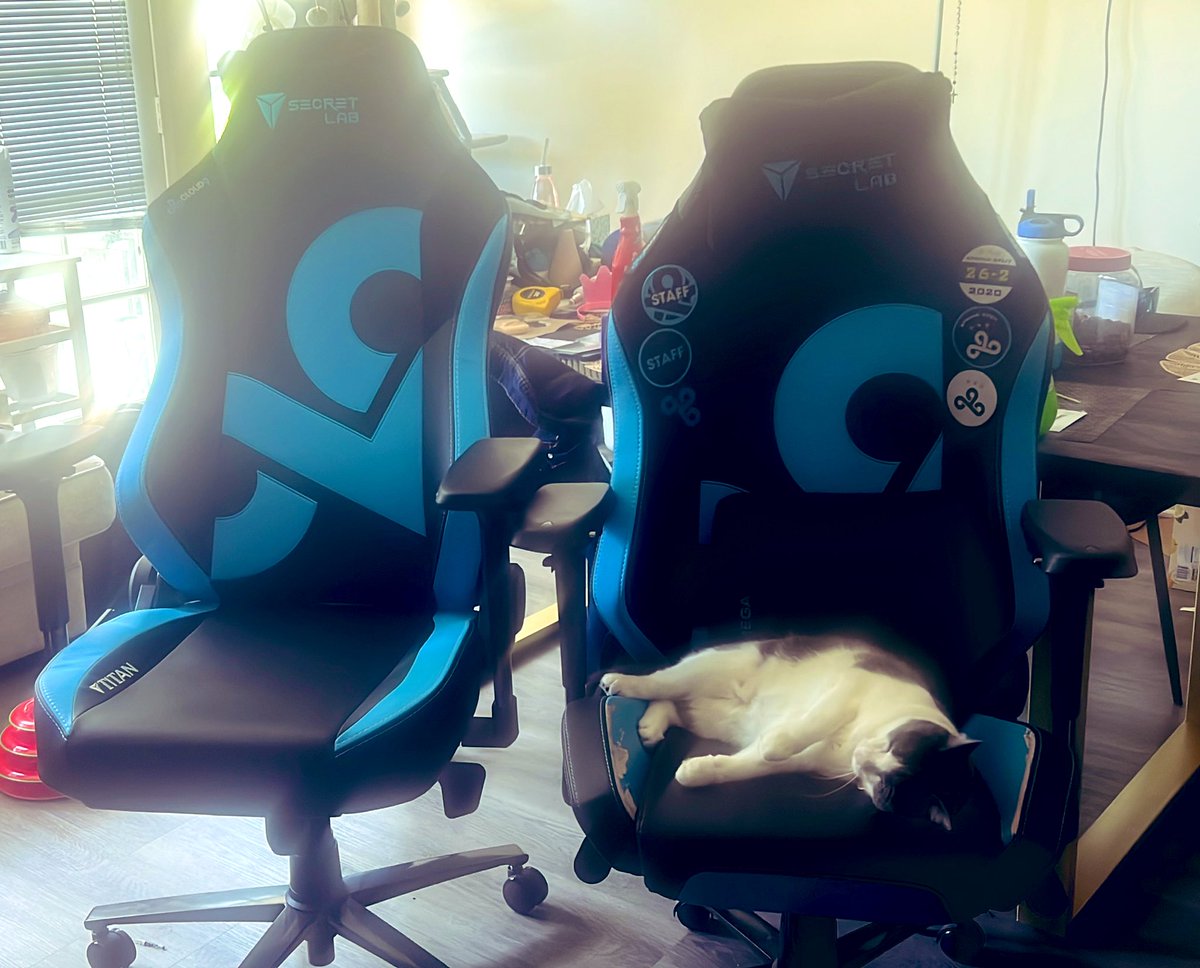 C9 Kyle tweet media