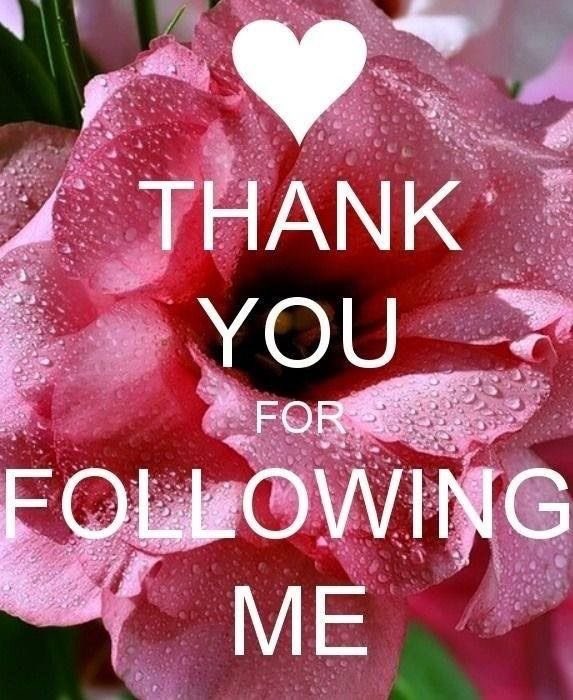 Dianne__LadyD's tweet photo. #ThanksForFollowingMe https://t.co/j1UXKzwRy9