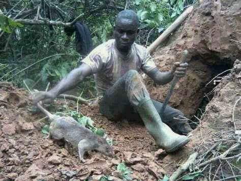 Our lives aren’t so perfect, but we rose up from a setting where we learned how to struggle, grind, and live life with utmost happiness and contentment. 

The setting teaches us what it takes to survive in our generation. From the cradle, we grew with strength. 

#VillagersTaste