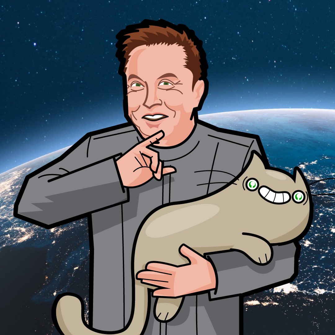 RhiannonCryptoNFT On Twitter Hey elonmusk What Would You Name Your 