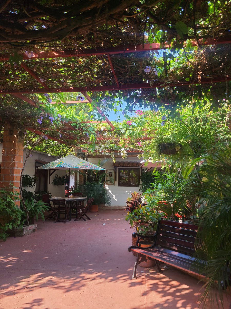 casasantosreyes's tweet photo. Nuestros jardines tienen una gran variedad de plantas, pájaros, sonidos y aromas. El contacto con la naturaleza es parte esencial de la experiencia 🌿
Visítanos y descubre nuestros espacios rodeados de una inmensa diversidad. 
Haz tu reserva
#valledupar #hotelesvalledupar #Travel https://t.co/0qK3vyPPLZ