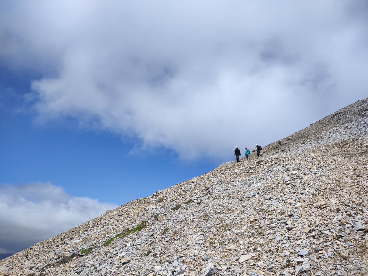 TYPO3TiROL tweet picture
