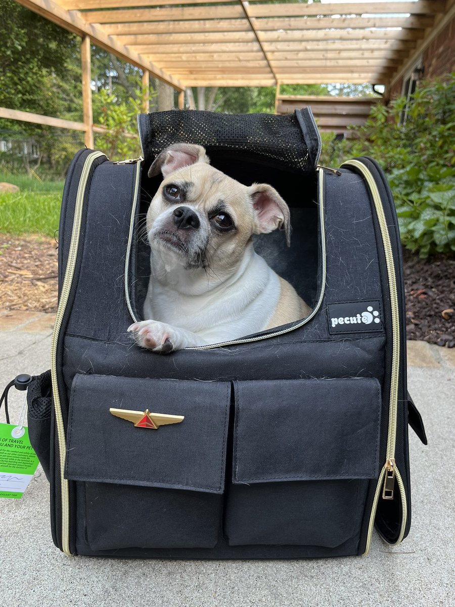 gr8dvm's tweet photo. Shout out to @Delta @DTWeetin and especially Kyia for making DL1392 a perfect inaugural trip for Lulu https://t.co/iTdoi0zM4P