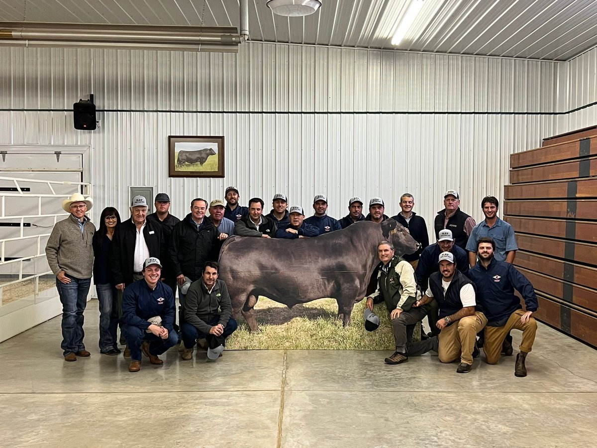 Tremenda muestra angus tuvimos hoy con unos de los más grandes a nivel mundial   , Schaff Angus Valley