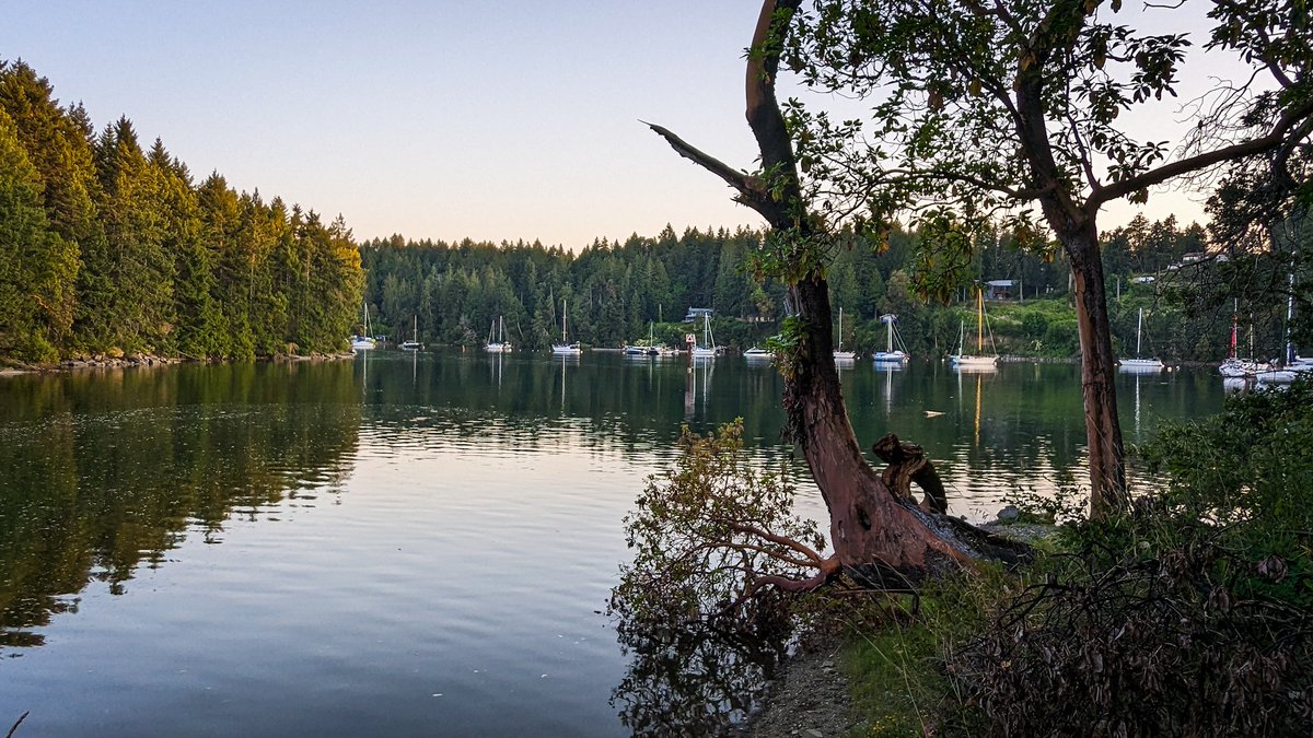 Jason O'Rourke on Twitter "RT annemckinnell Gm from day 2 of the