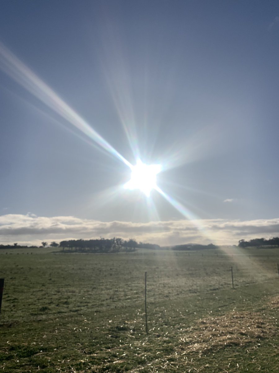GregSounness's tweet image. It was only fleeting but I did see the sun and blue sky this morning but alas then it was gone again 🌧️