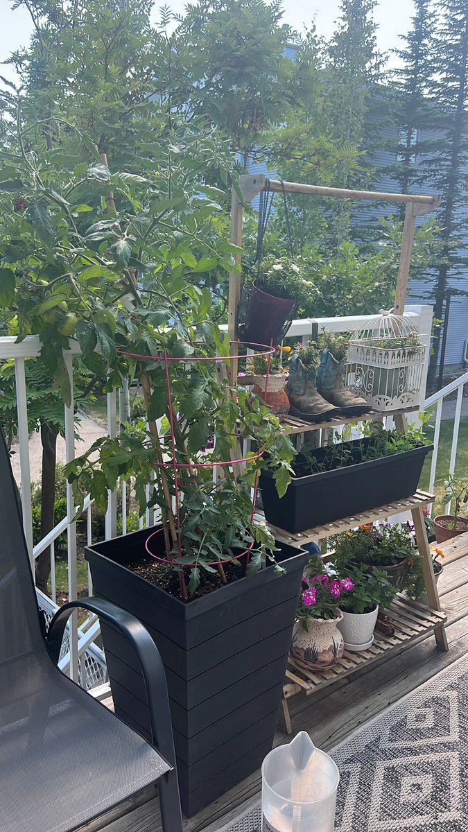 Courtney Stephenson tweet media