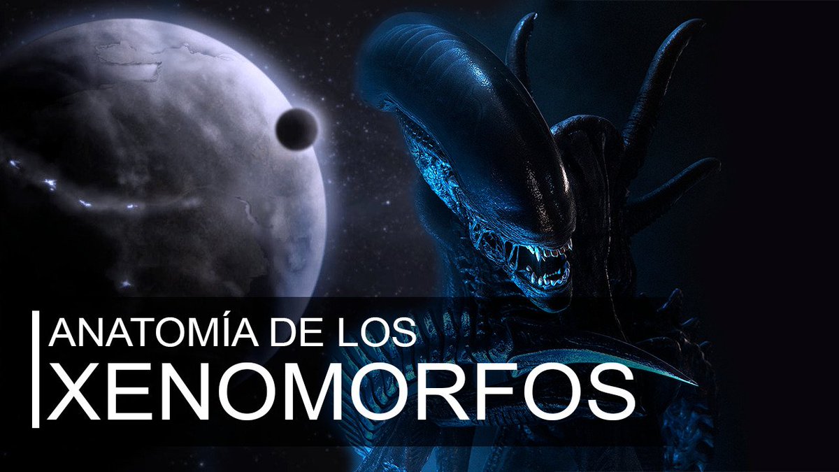 Anatomía de los Xenomorfos.
Thanks for subscribing to my #YouTube channel.
👍 & Suscribe 🙏
#Cultura #Ciencia #theory #scifi #cienciaficción  #InteligenciaArtificial #Science #entertainment.
#EricLagarrigue #Writer #producer #YouTuber @EricJLagarrigue
youtube.com/@BajandoaTierra