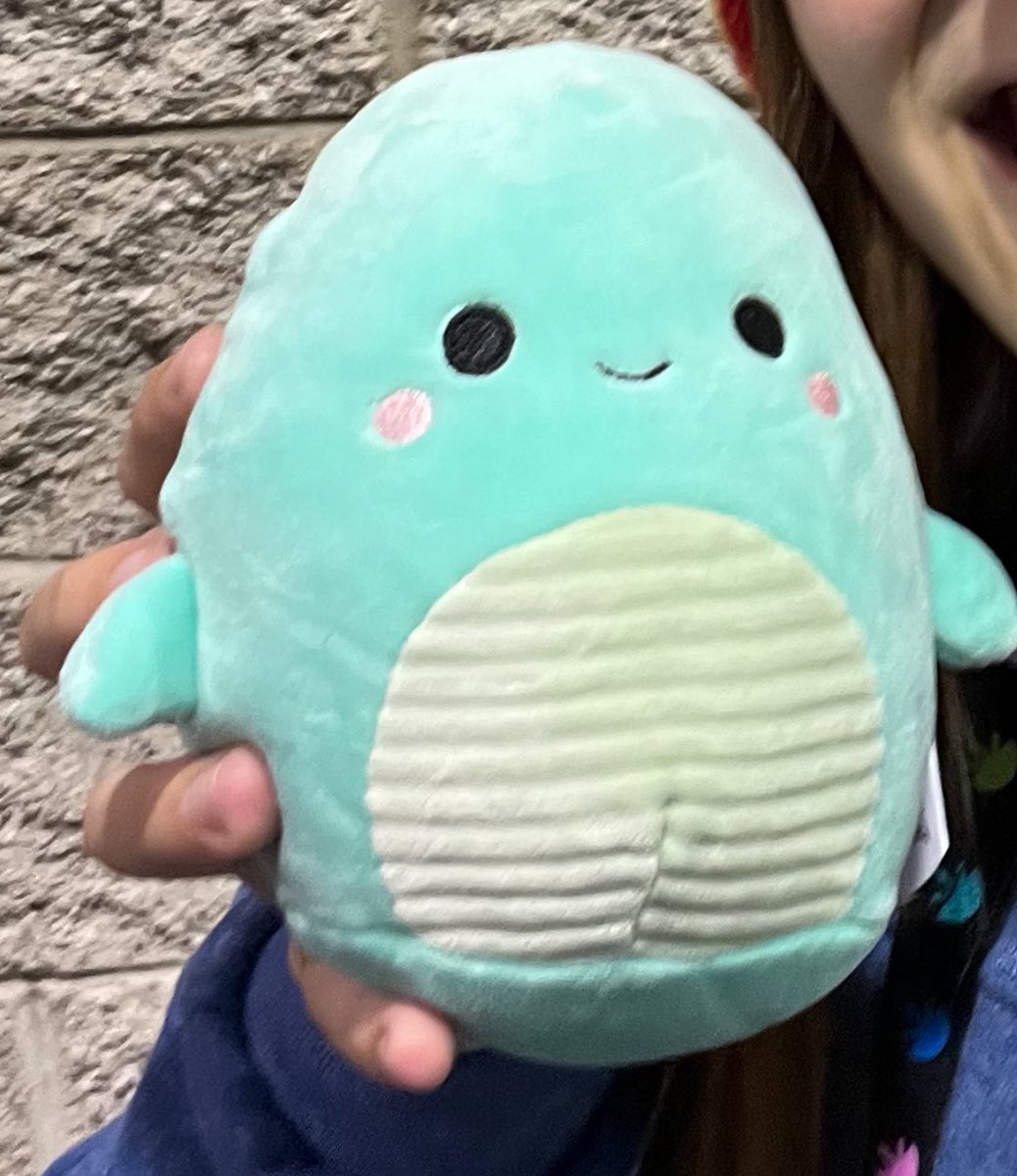 taylor MET HAPPYDUO on Twitter "SQUISHMALLOW COMMUNITY DOES ANYONE