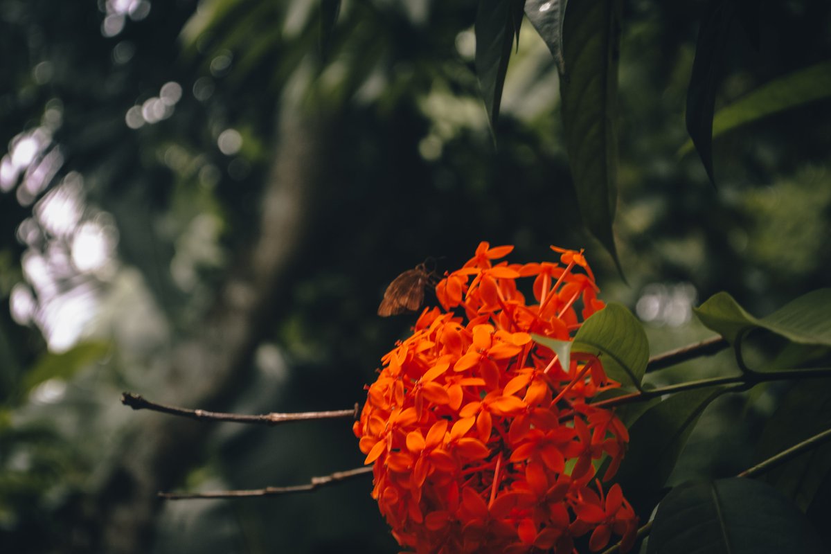 Have a nice day🦋💐☕

#photo #Nikon #NaturePhotography #lightroom @Lightroom #NatureBeauty #nikkor #SundayMorning #