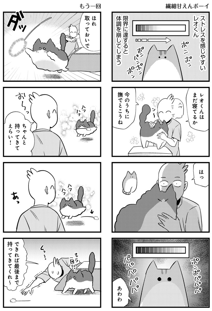 ねこコミックエッセイ(2/3)