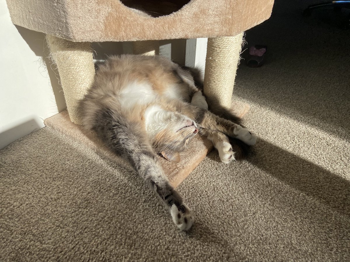 @worksaildie.bsky.social tweet media