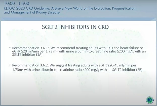 Update baru 2023
- Untuk dokter -

Pada penyakit ginjal kronis GFR >20 non diabetes dengan gagal jantung direkomendasikan untuk diberikan SGLT-2 Inhibitor

Bila diatas 20-45 dengan pemeriksaan urine ACR <200 dianjurkan untuk diberikan SGLT-2 Inhibitor.

Obat ini pada umumnya…