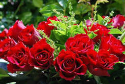 Henry Scott (@henryscott12249) on Twitter photo 