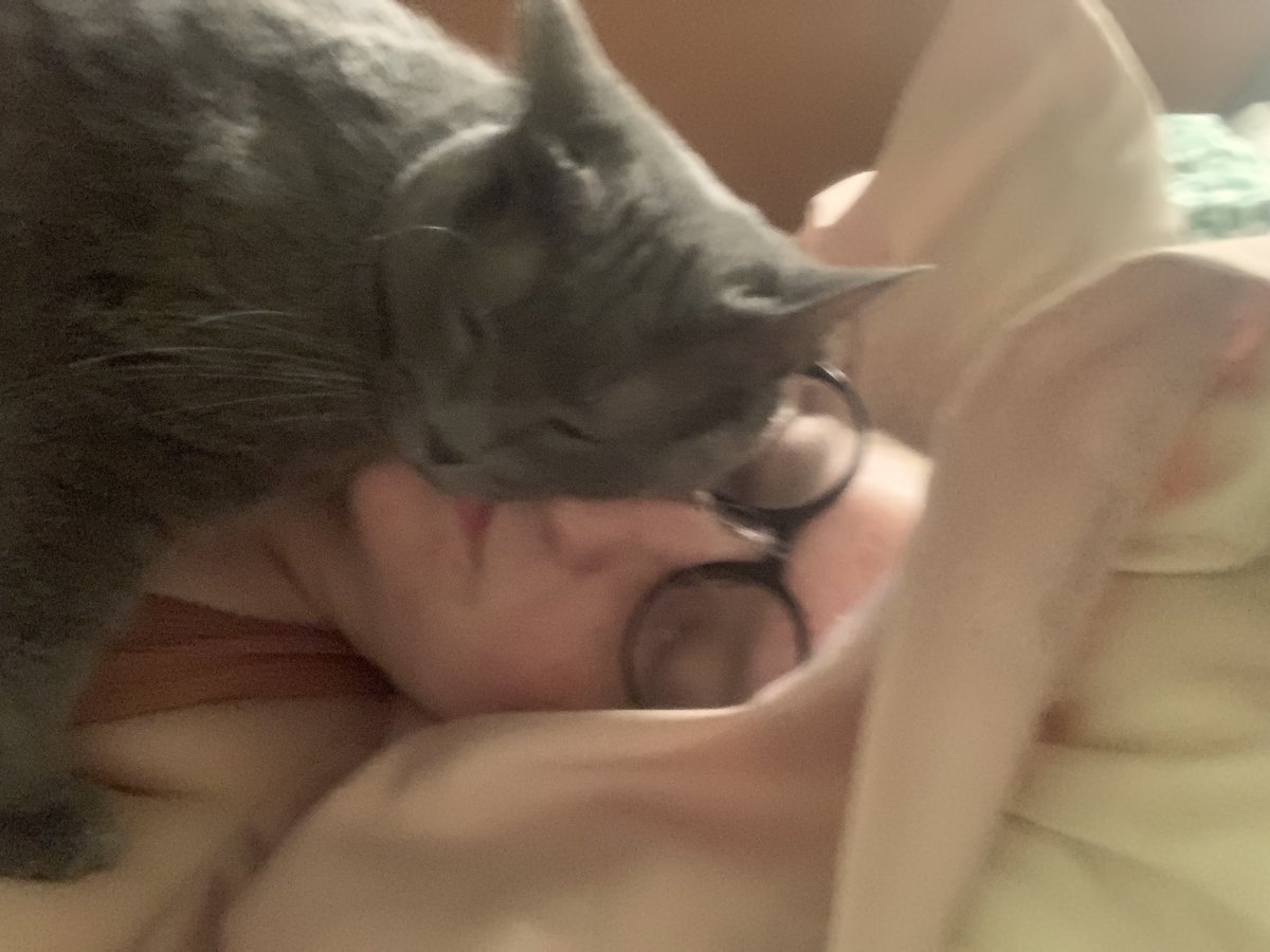 Cat Tervo tweet media