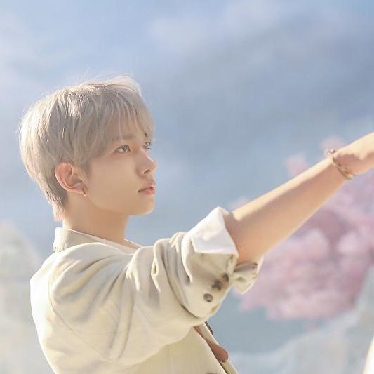 ۫ ℘ . tweet media