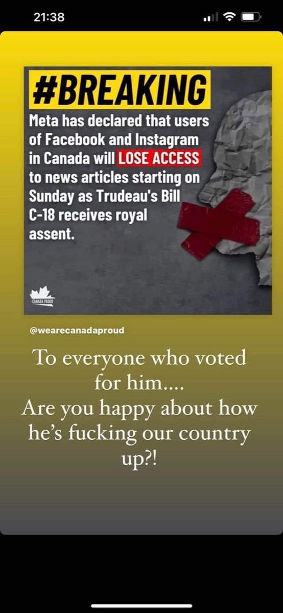 Katie McG 🐾 (@ktmcg2) on Twitter photo 