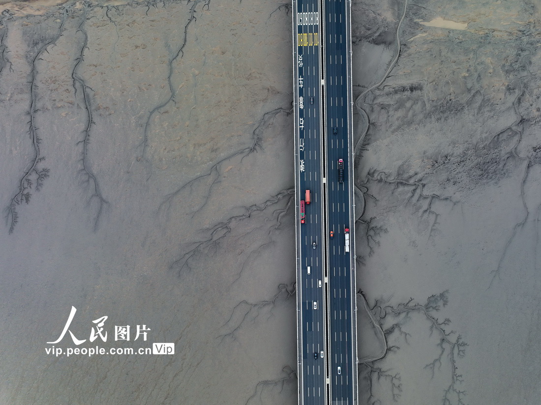 【浙江海寧：錢塘江退潮現“大地之樹”景觀】6月23日，浙江省海寧市黃灣鎮錢塘江入海口，退潮後出現“大地之樹”自然景觀，美如畫卷。