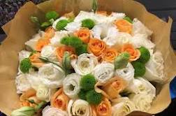 Happy weeked to you all