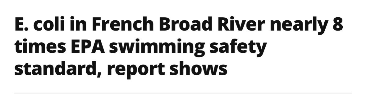 Jamie 𓅓 tweet media