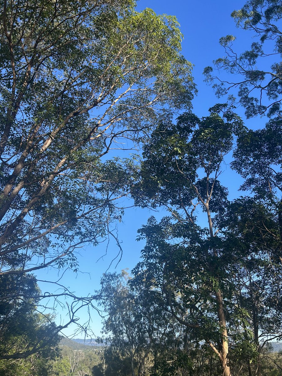 Billy 🇦🇺♒️🎢🍮🥷 tweet media