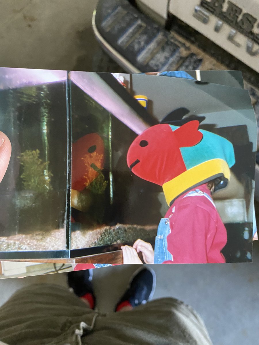 sojuboyteIIem's tweet image. this photo of child me with a fish hat on staring into a fish tank is poetic
