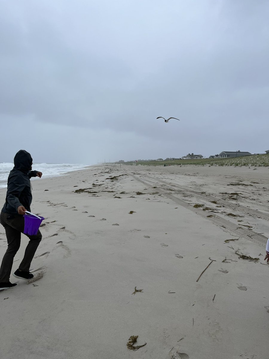 Sea-dangers abound;
Landlubber wields a bucket 
In case of birdly swoop. 

#haikusaturday #jerseyshore #husband #protectanddefend #seabird