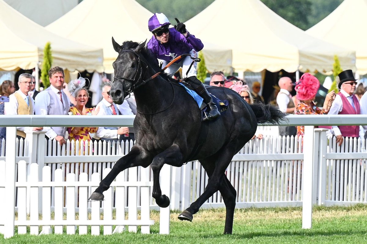 SwettenhamStud's tweet photo. #KINGOFSTEEL (Wootton Bassett 3C) records a scintillating win in G2 King Edward V11 Stks (2000m) at Royal Ascot for Tr @varianstable & Jk #KevinStott..@SwettenhamStud will stand Wootton Bassett G1 son #WOODED in 2023 ..thanks to @sezzapixx_ @sarah_ebbett for pics https://t.co/hVGyFO9L6b