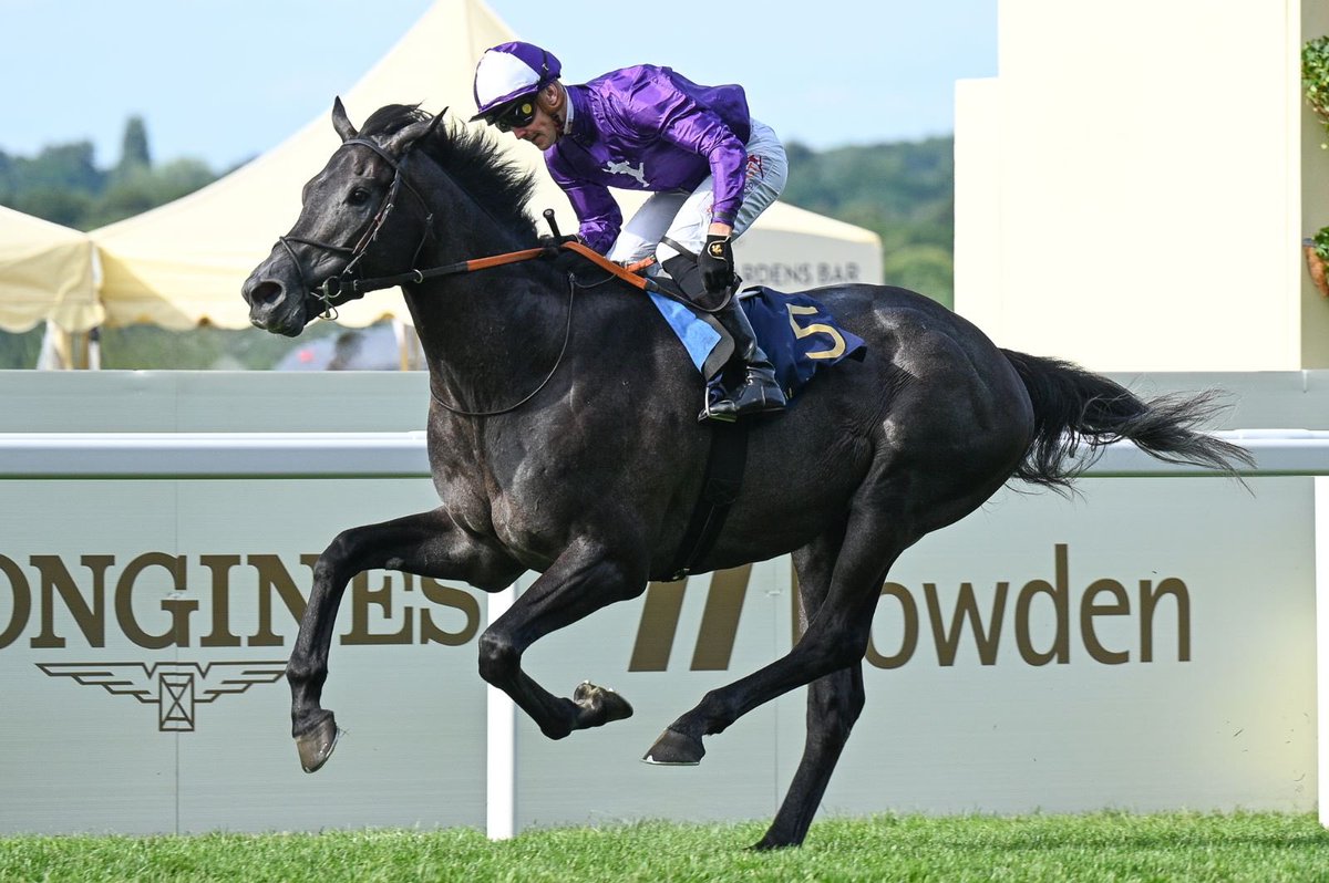 SwettenhamStud's tweet photo. #KINGOFSTEEL (Wootton Bassett 3C) records a scintillating win in G2 King Edward V11 Stks (2000m) at Royal Ascot for Tr @varianstable & Jk #KevinStott..@SwettenhamStud will stand Wootton Bassett G1 son #WOODED in 2023 ..thanks to @sezzapixx_ @sarah_ebbett for pics https://t.co/hVGyFO9L6b