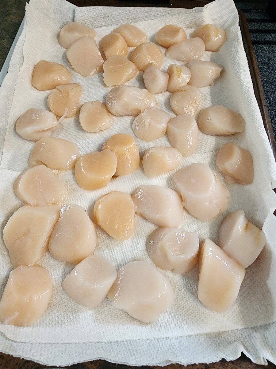 Gifted 3 lbs of scallops, 🤤