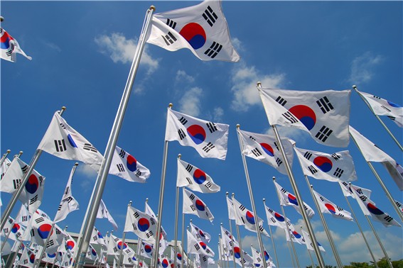 오늘 6.25전쟁이 일어난 날 입니다 참전용사분들과 나라를 지키다 순국하신분들께 경의를 표합니다 🇰🇷