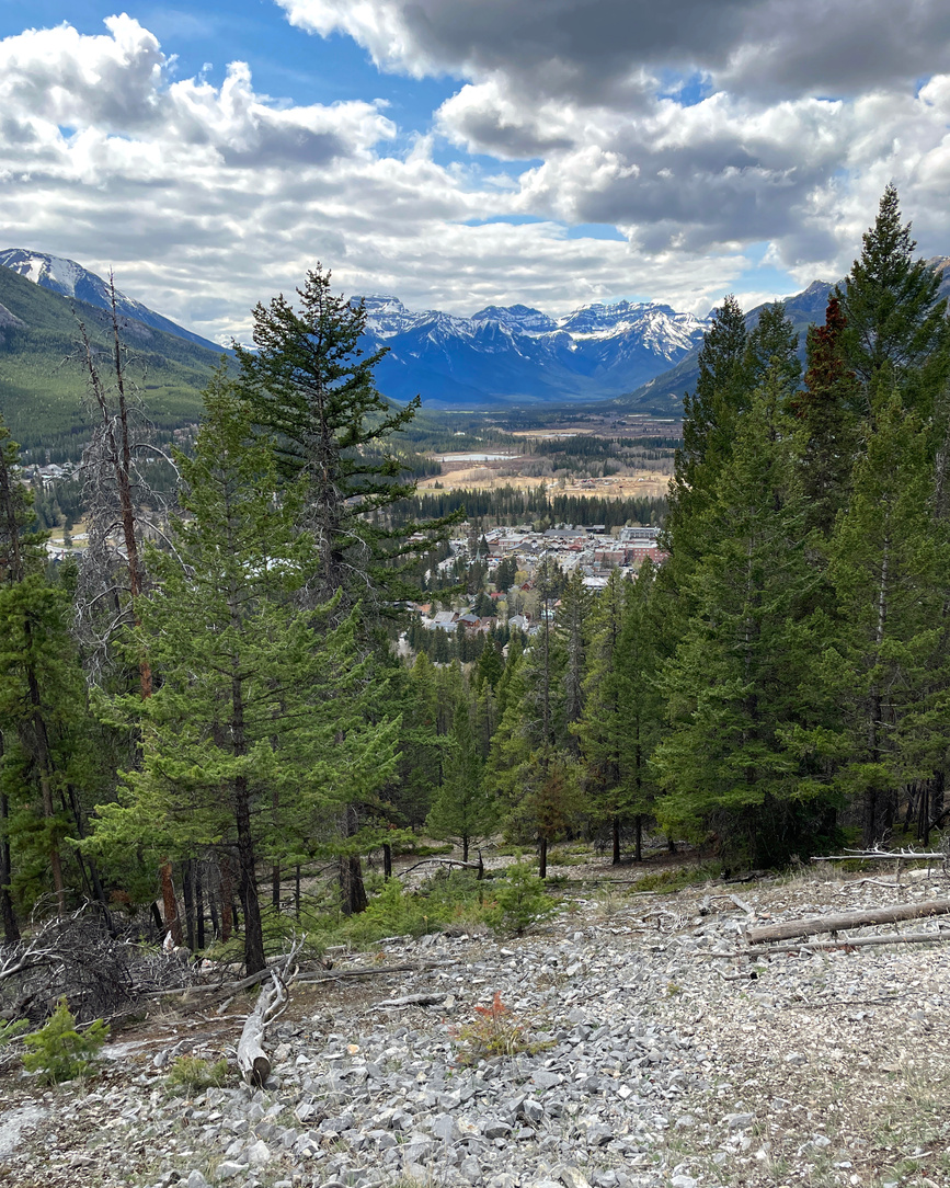 EricTAdventures's tweet photo. New video release today featuring the most famous hike in Banff: Tunnel Mountain
#tunnelmountain #hikebanff #banffhiking #banffviews #overlookingbanff #canadianrockymountains #mountrundle #banffadventures #curiositybanff #banffadventure #travelbanff #banffhikes #banffnp https://t.co/9phb6Sboqe